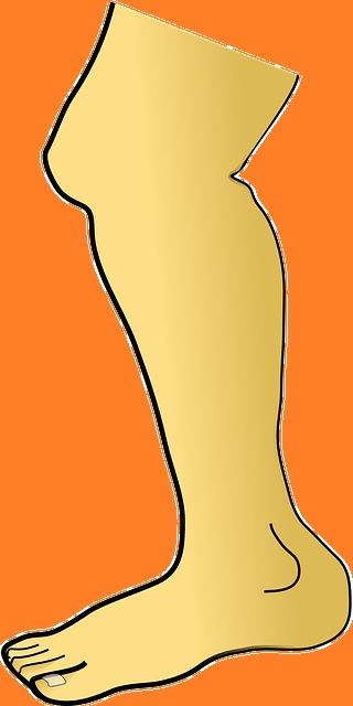 ���j�����Ƌؓ�